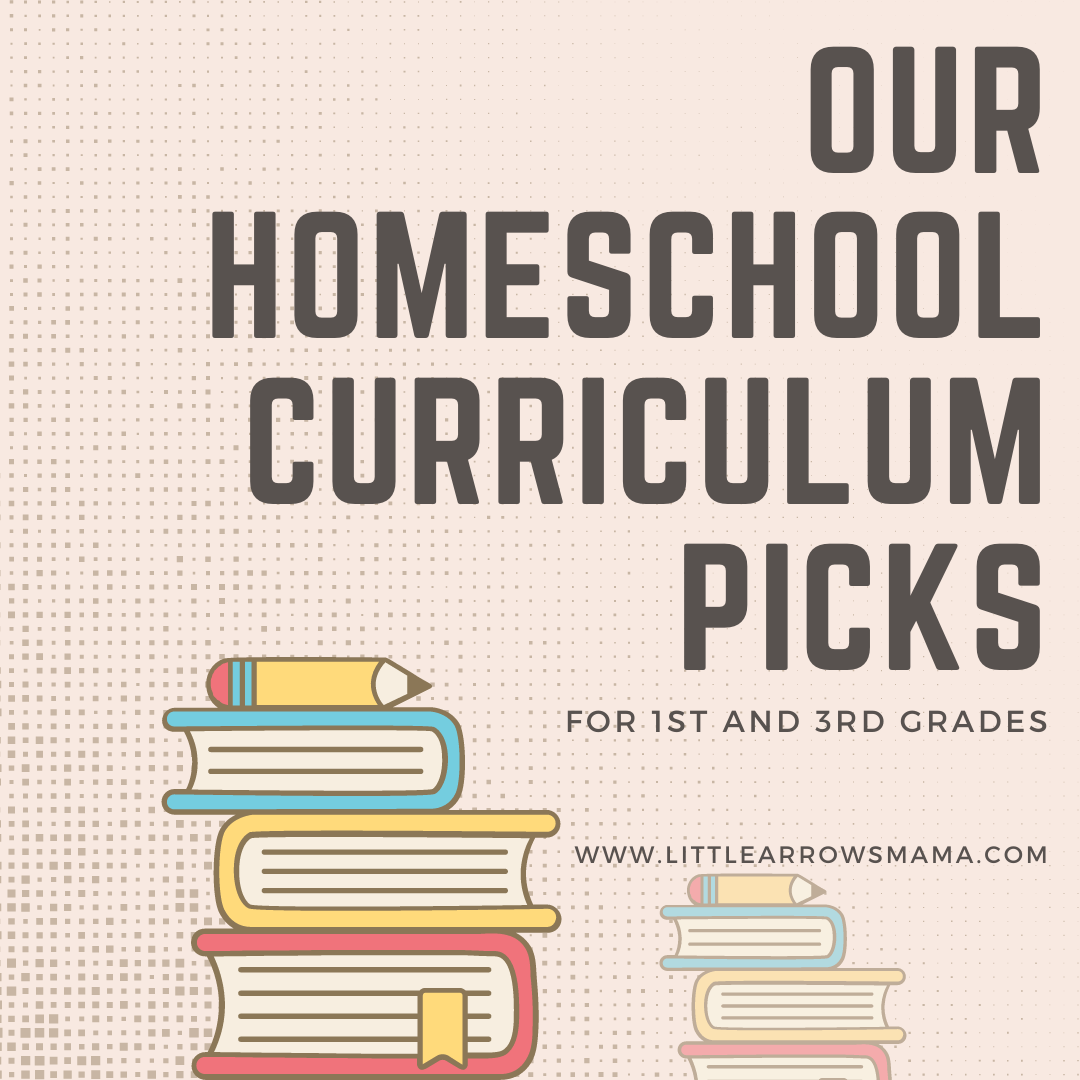 Our Homeschool Curriculum Picks for 1st and 3rd Grade